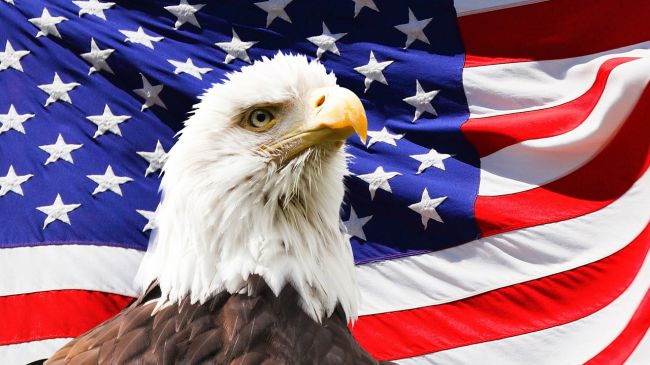 Amerikanska Utdelningsaktier